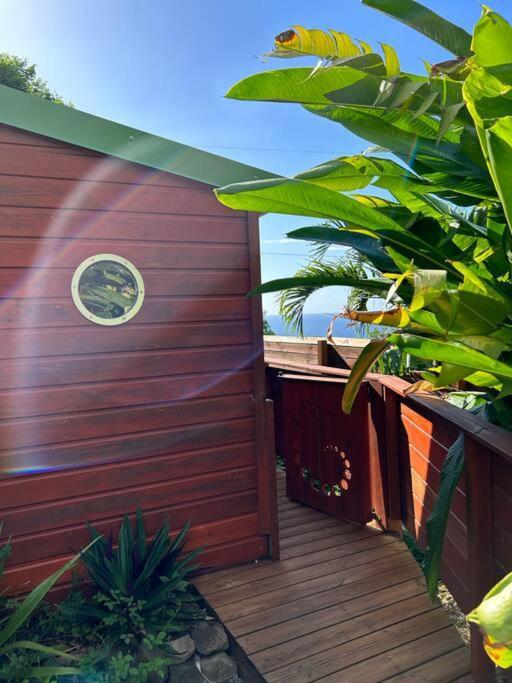 Bungalow, Gite Les Fleurs Du Colibri Буйянт Екстериор снимка
